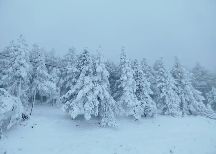 Apartment Casa Masovera