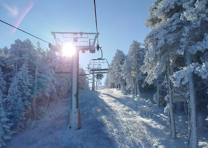 Casa Masovera Apartment