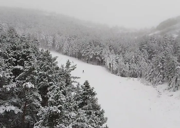 Apartment Casa Masovera