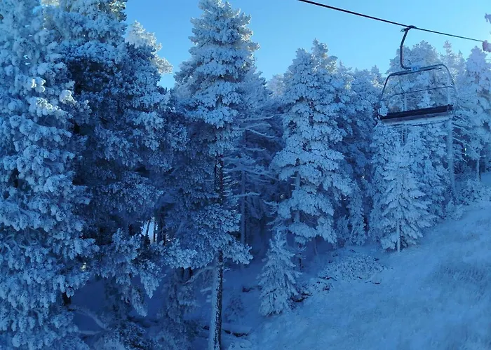 Apartment Casa Masovera *