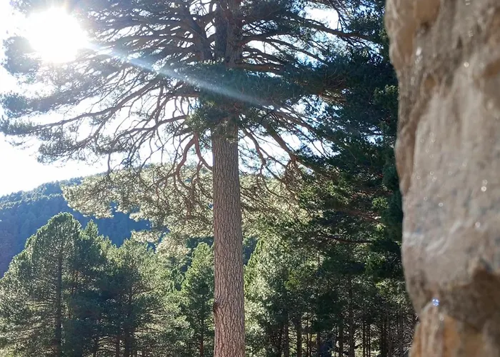 Apartment Casa Masovera