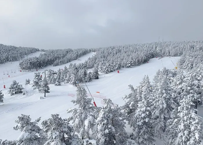 Casa Masovera Apartment